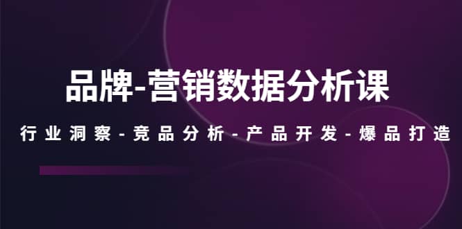 品牌-营销数据分析课,行业洞察-竞品分析-产品开发-爆品打造网创吧-网创项目资源站-副业项目-创业项目-搞钱项目网创吧