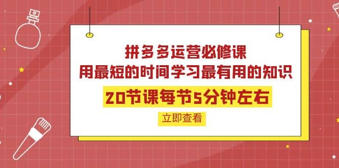 拼多多运营必修课:20节课每节5分钟左右,用最短的时间学习最有用的知识网创吧-网创项目资源站-副业项目-创业项目-搞钱项目网创吧