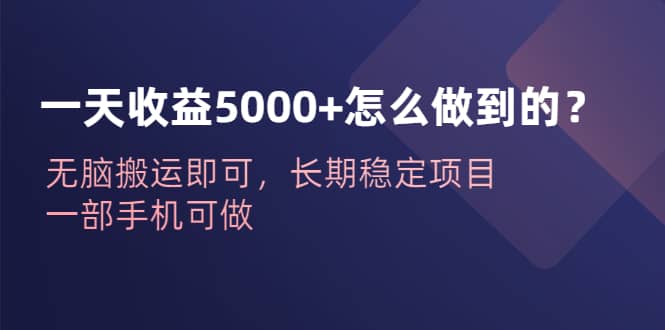 一天收益5000+怎么做到的?无脑搬运即可,长期稳定项目,一部手机可做网创吧-网创项目资源站-副业项目-创业项目-搞钱项目网创吧