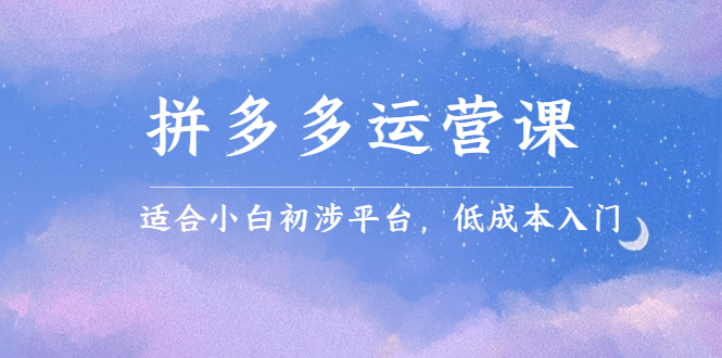 拼多多运营课,适合小白初涉平台,低成本入门网创吧-网创项目资源站-副业项目-创业项目-搞钱项目网创吧