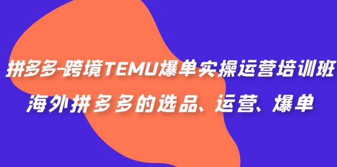 拼多多-跨境TEMU爆单实操运营培训班,海外拼多多的选品、运营、爆单网创吧-网创项目资源站-副业项目-创业项目-搞钱项目网创吧