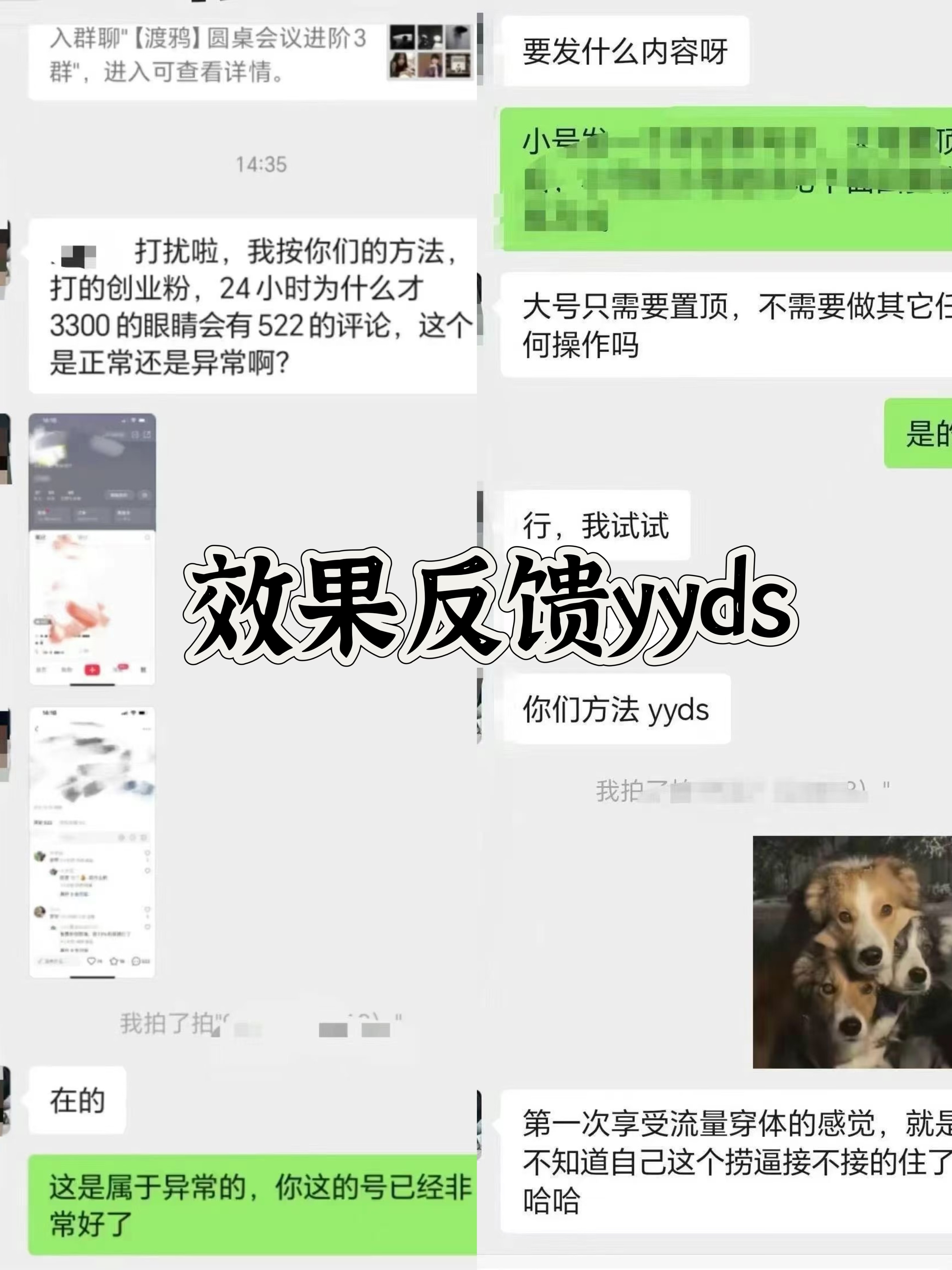 小红书，视频号，抖音黑科技引流玩法，全域平台截流自热打法 日引500+精准粉网创吧-网创项目资源站-副业项目-创业项目-搞钱项目网创吧