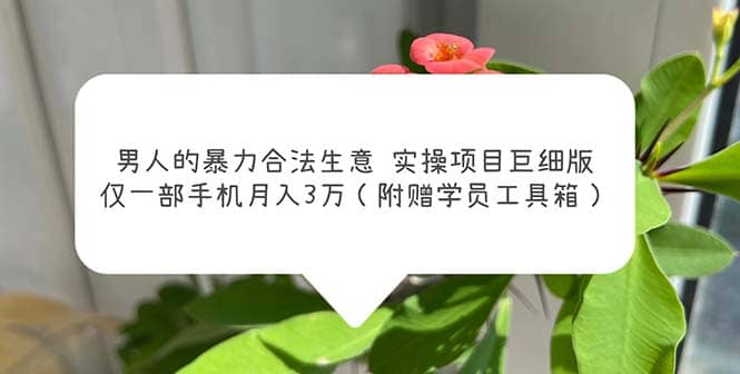 男人的暴力合法生意实操项目巨细版:仅一部手机月入3w(附赠学员工具箱)网创吧-网创项目资源站-副业项目-创业项目-搞钱项目网创吧