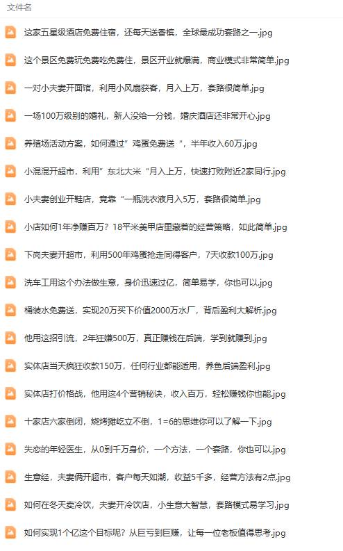 真实有效391套商业模式，年入几十到几百万案例解析（电子书+视频+图文）网创吧-网创项目资源站-副业项目-创业项目-搞钱项目网创吧