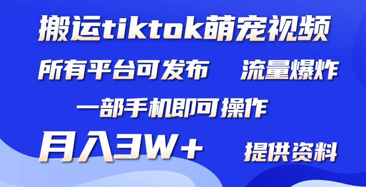 搬运Tiktok萌宠类视频,一部手机即可。所有短视频平台均可操作,月入3W+网创吧-网创项目资源站-副业项目-创业项目-搞钱项目网创吧
