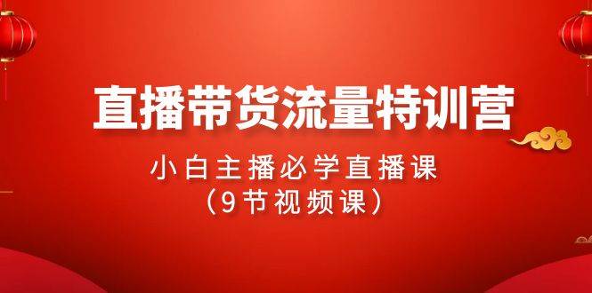 2024直播带货流量特训营,小白主播必学直播课(9节视频课)网创吧-网创项目资源站-副业项目-创业项目-搞钱项目网创吧